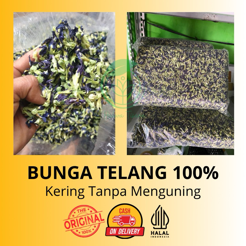 

Bunga Telang Kering Asli 100% Buat Teh Herbal Berwarna Biru Cantik Bisa Untuk Pewarna Makanan Sehat Banyak Khasiat Penyembuh Diabet3s Alternatif Jamu Tanpa Campuran Bisa Dijual Lagi