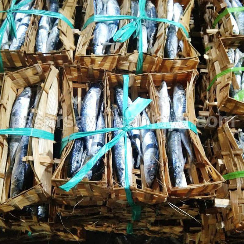 

Ikan Pindang /Pindang Salem /pindang tongkol fresh