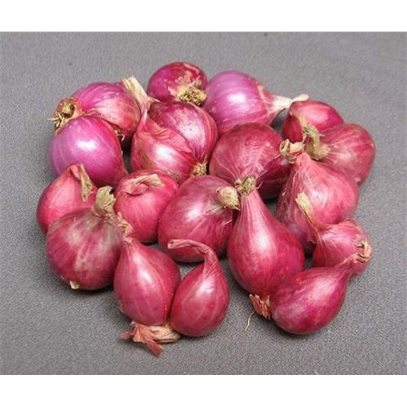 

Bawang merah Probolinggo tanggung 500gram