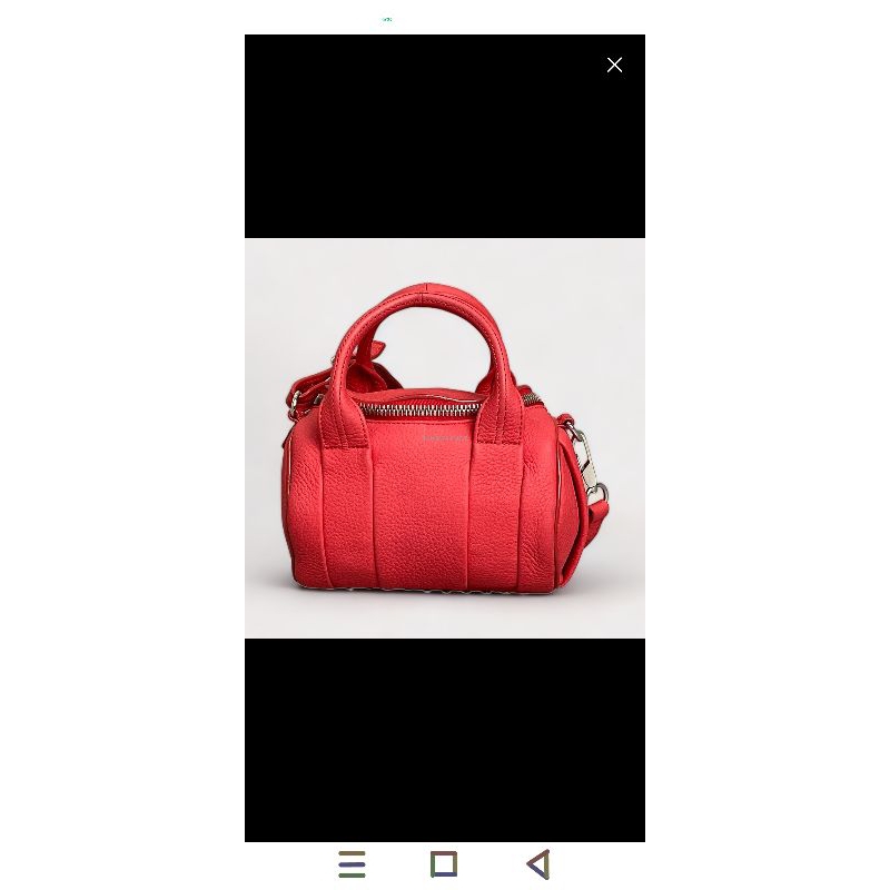 Preloved Alexander Wang