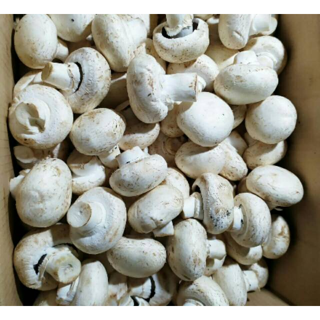 

jamur kancing 250 gr KIRIM INSTANT