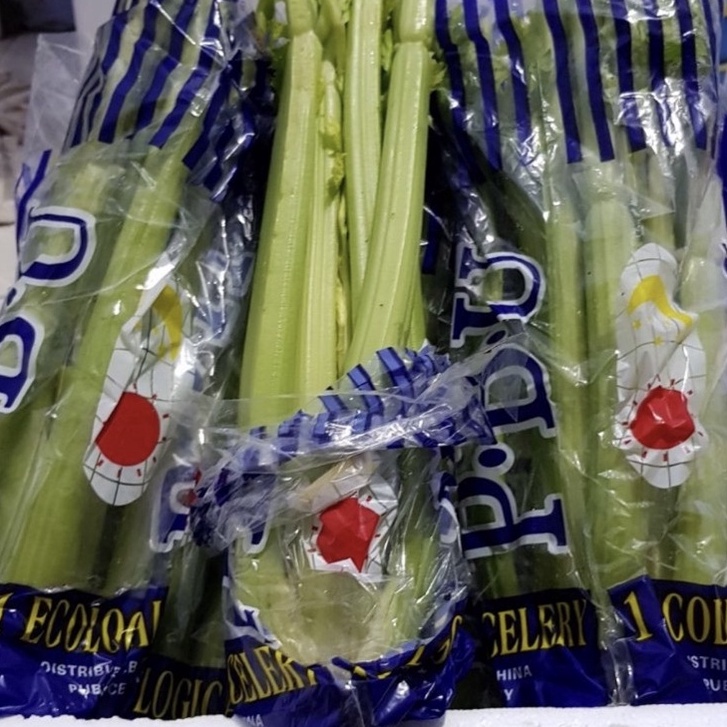 

Terbaru celery stik seledri stik 1 kg