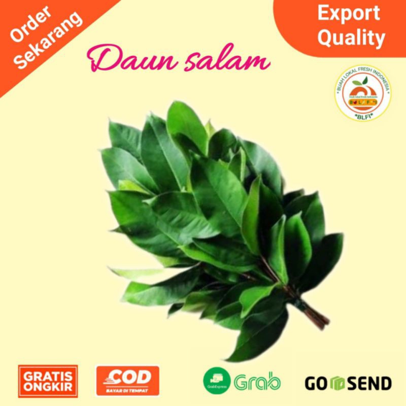 

DAUN SALAM 1 IKAT