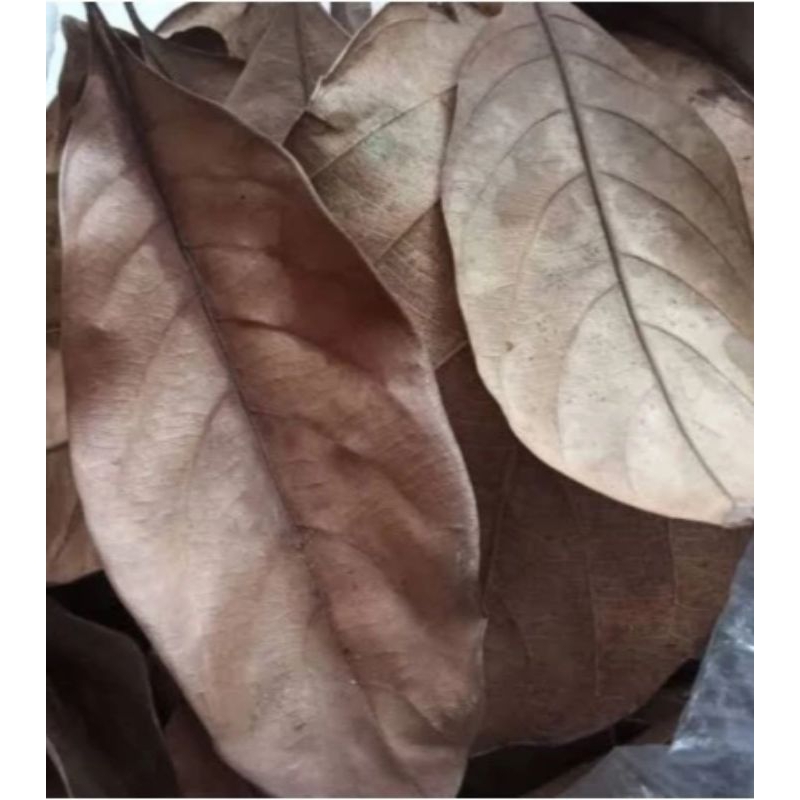 

Daun nangka kering obat herbal 100gram