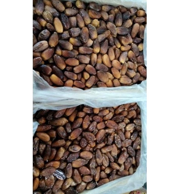 

Kurma Tunisia Madu, Tunisia Tangkai, Tunisia Royal Palm 500 g