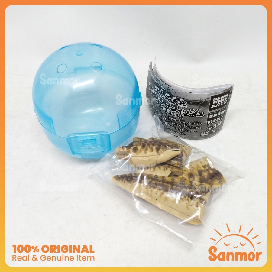 Gachapon Gashapon Takara Tomy Arts Monster Fish Original New - Moray Eel / Belut Moray
