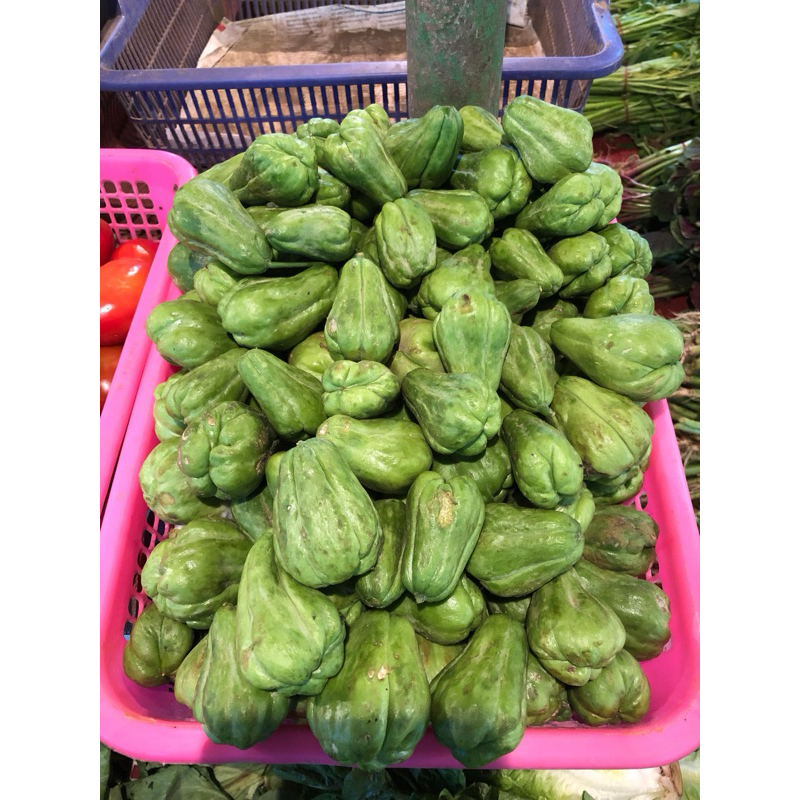 

LABU SIAM BABY 500G / LABU ACAR / LABU LALAPAN 500G