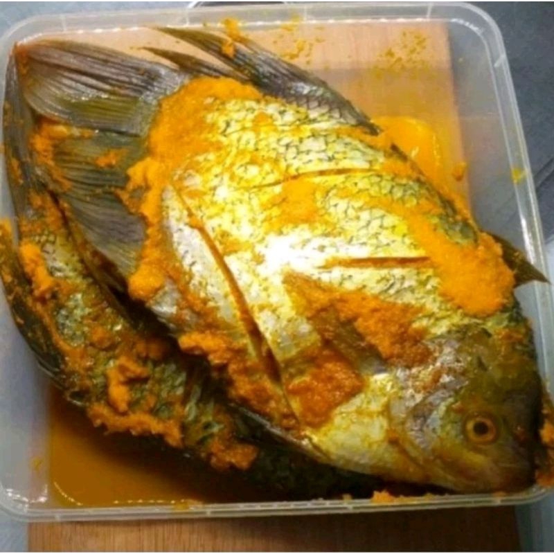 

gurame bumbu kuning siap goreng/bakar 1 kg 3 ekor
