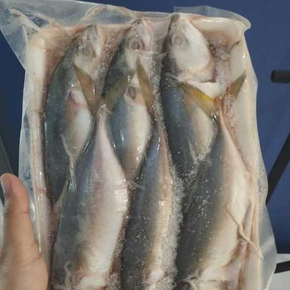 

RB Ikan Kembung Banjar