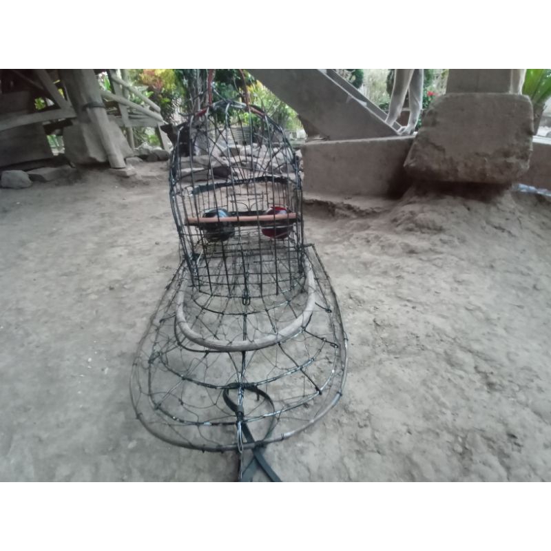 sangkar jebakan burung kutilang