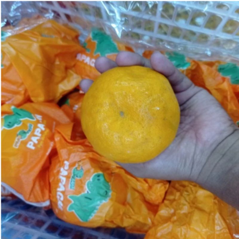 

Jeruk Chun jian dekopon papagan Dino jumbo manis tanpa biji 6 kg