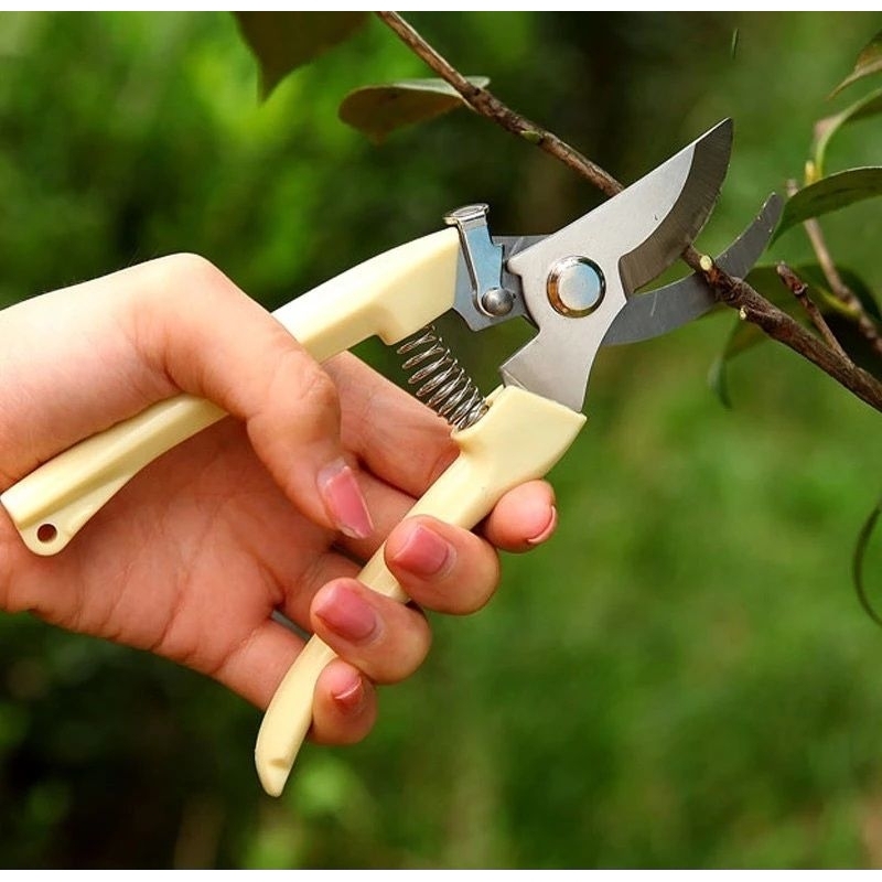 Gunting Dahan Ranting / Gunting Ranting Daun Tanaman Super Tajam Peralatan Berkebun Gunting Ranting