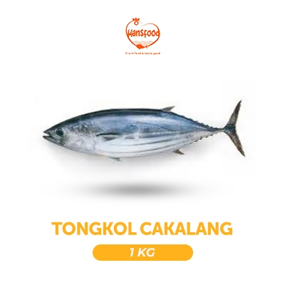 

Ikan Tongkol Cakalang