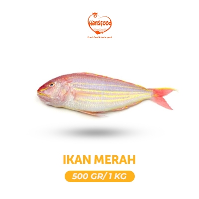 

Ikan Merah