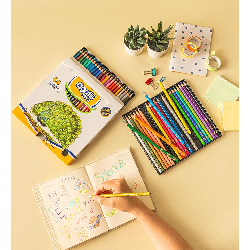 

PENSIL WARNA AGATIS PRIME 48 WARNA