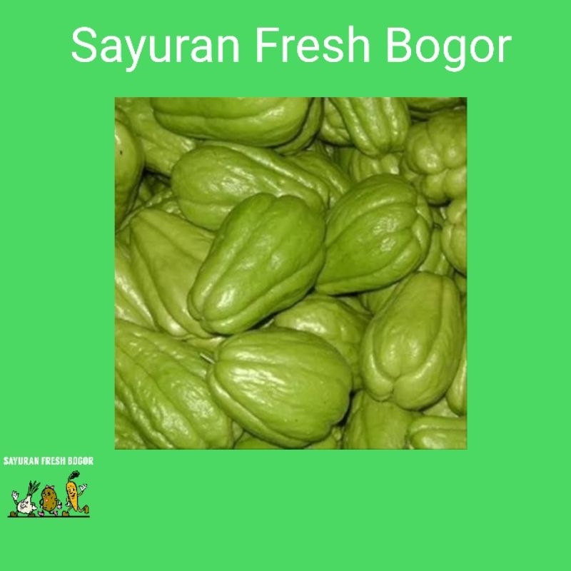 

Labu Siam Besar ( 1 Buah ) | Sayuran Fresh Bogor