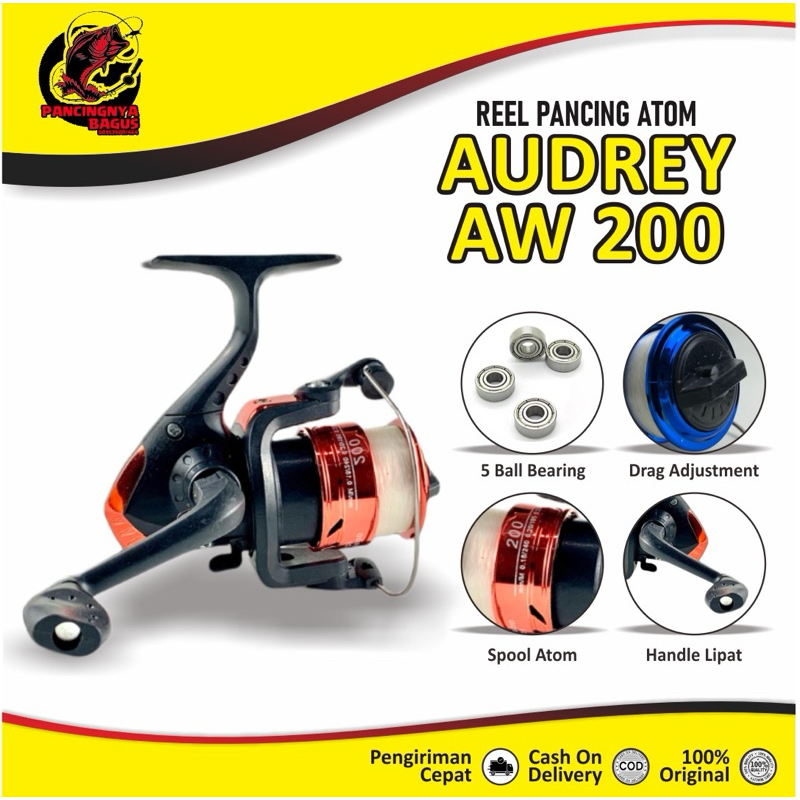 REEL AUDREY AW 200 5BB