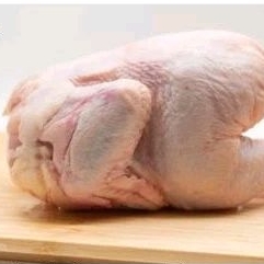 

Ayam Potongggggggggggg