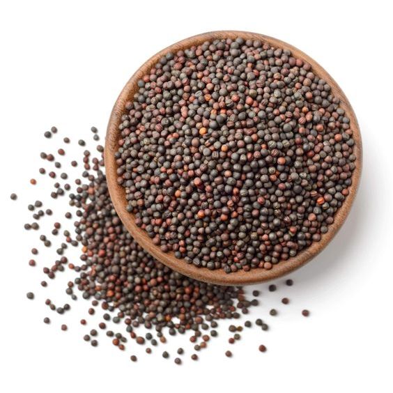 

Black Mustard Seed 500 Gram / Biji Sawi (Mustard) Hitam 500 Gram