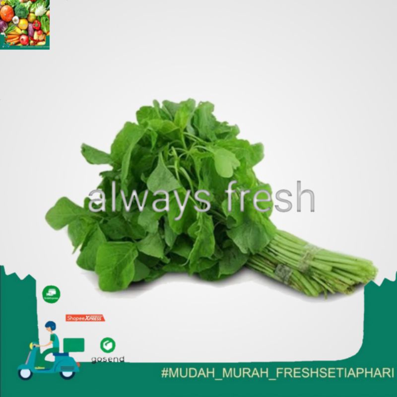 

- always fresh palembang