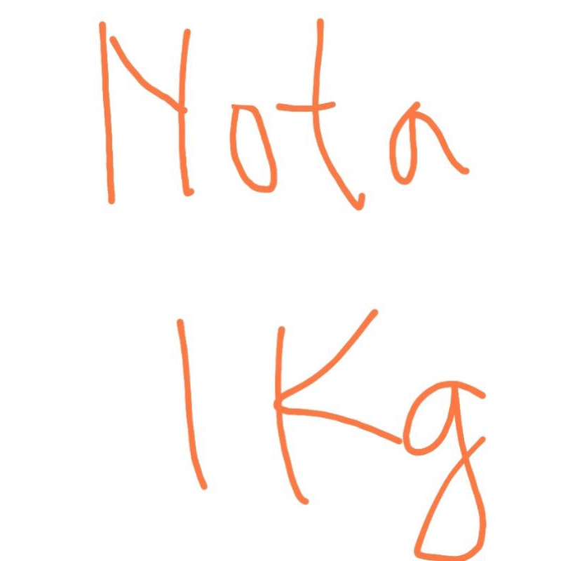 paket 100k isi 11 pcs sukulen jumbo ideal