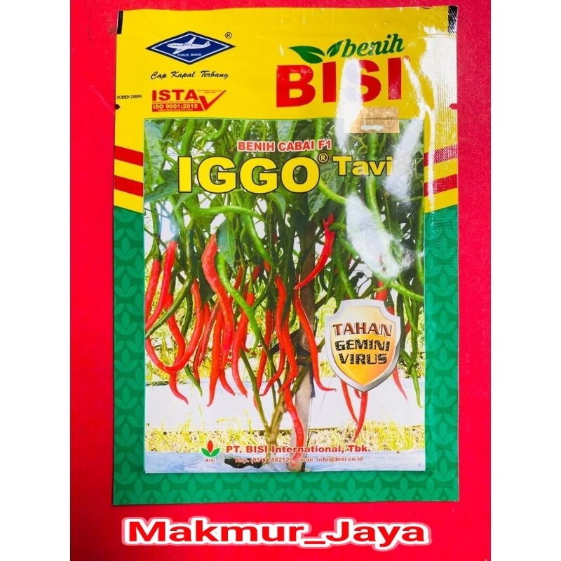 Benih bibit cabe keriting IGGO TAVI F1 10 gram cap kapal terbang