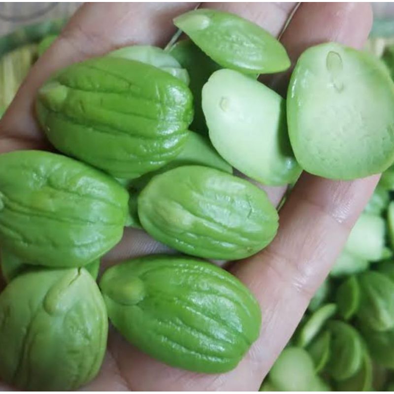 

PETE ASLI KALIGESING KUPASAN ( bukan rendaman fresh baru di kupas)