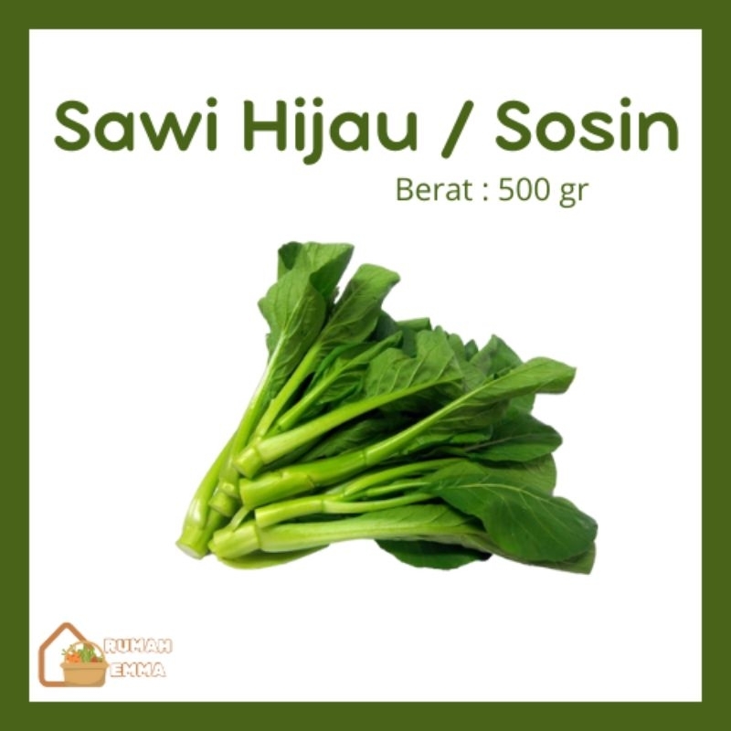 

Sayuran Fresh Sawi Hijau/Sosin dikirim instant