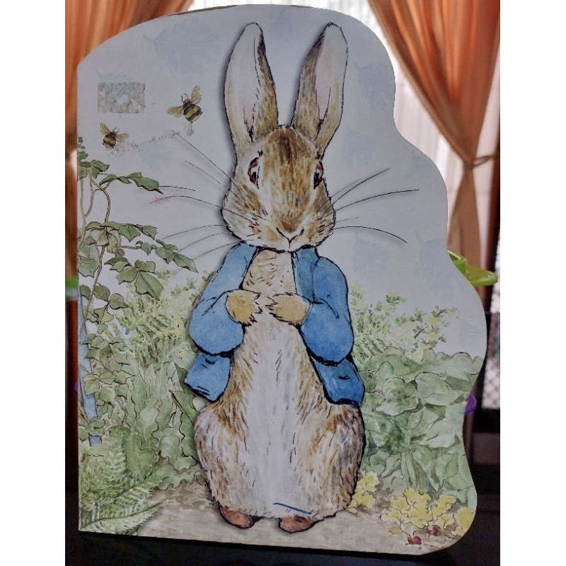 Peter Rabbit Board Book Preloved