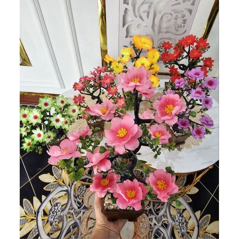 bunga semanggi Bonsai Beringin ukuran medium rimbun