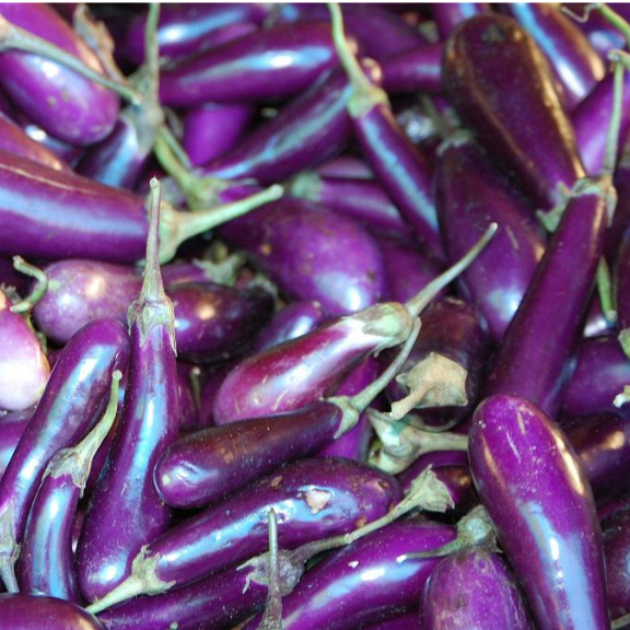 

Terong Ungu / Terong murah 500gr