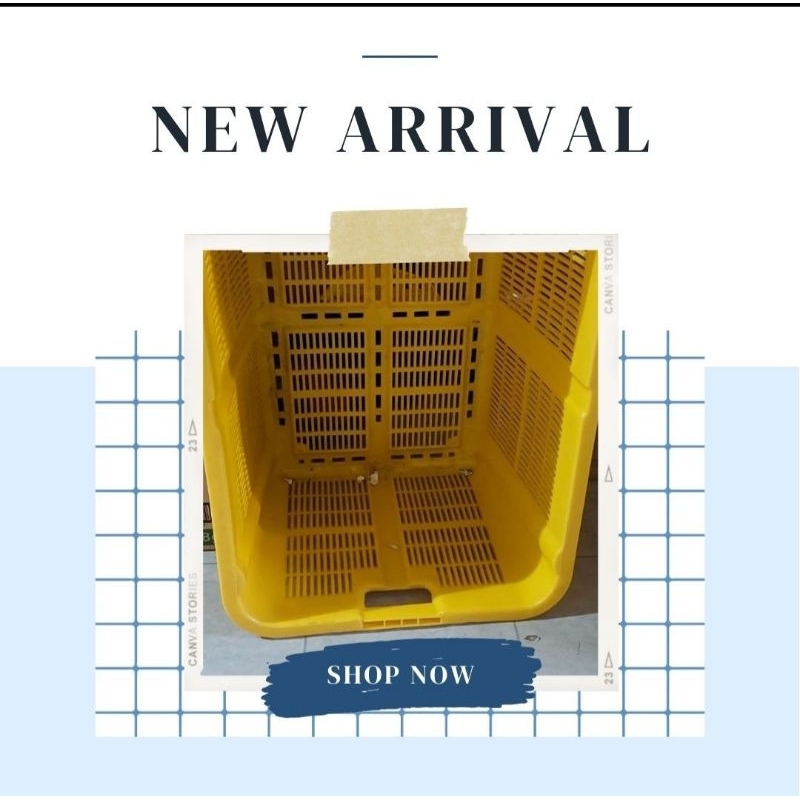 Keranjang Ikan Plastik Tebal