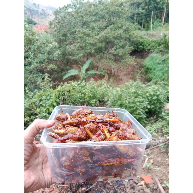 

walanggoreng