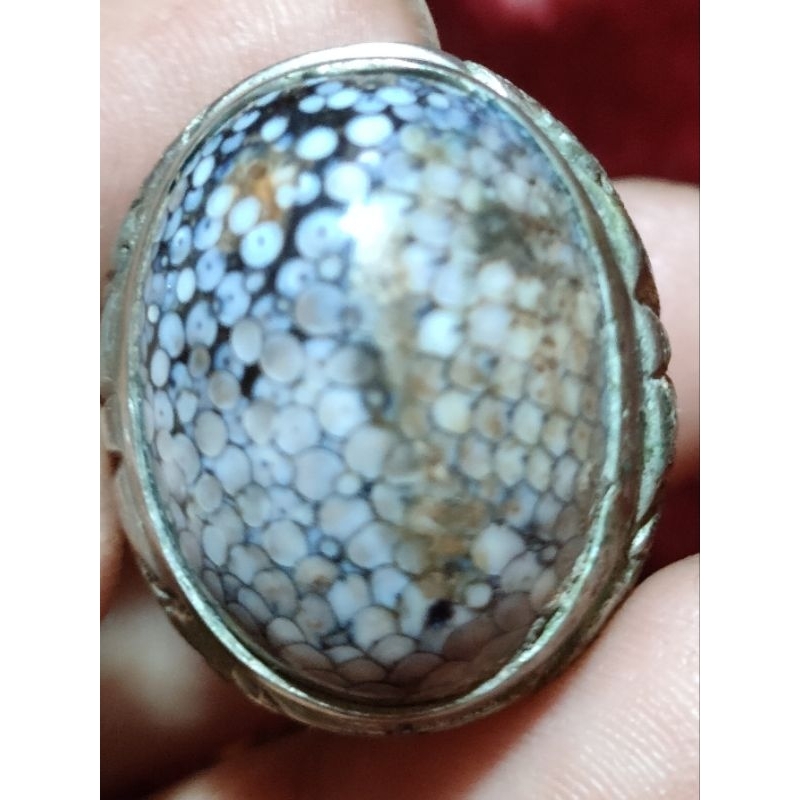 BATU AKIK SISIK ULAR JHIPEN ASLI MADURA