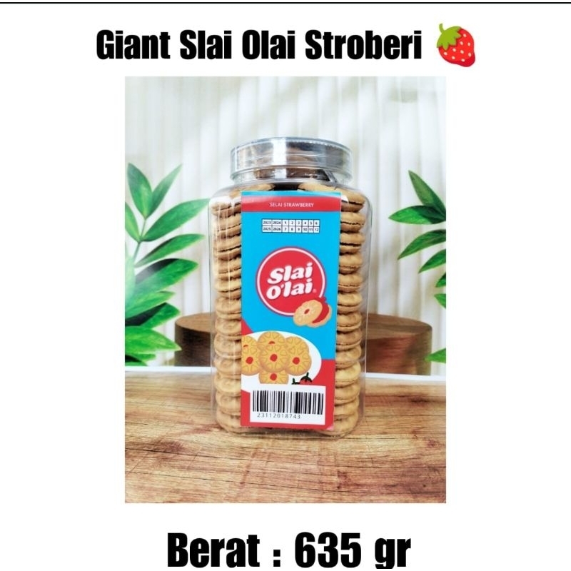 

slai olai