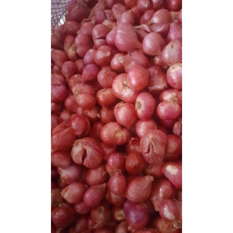 

bawang merah