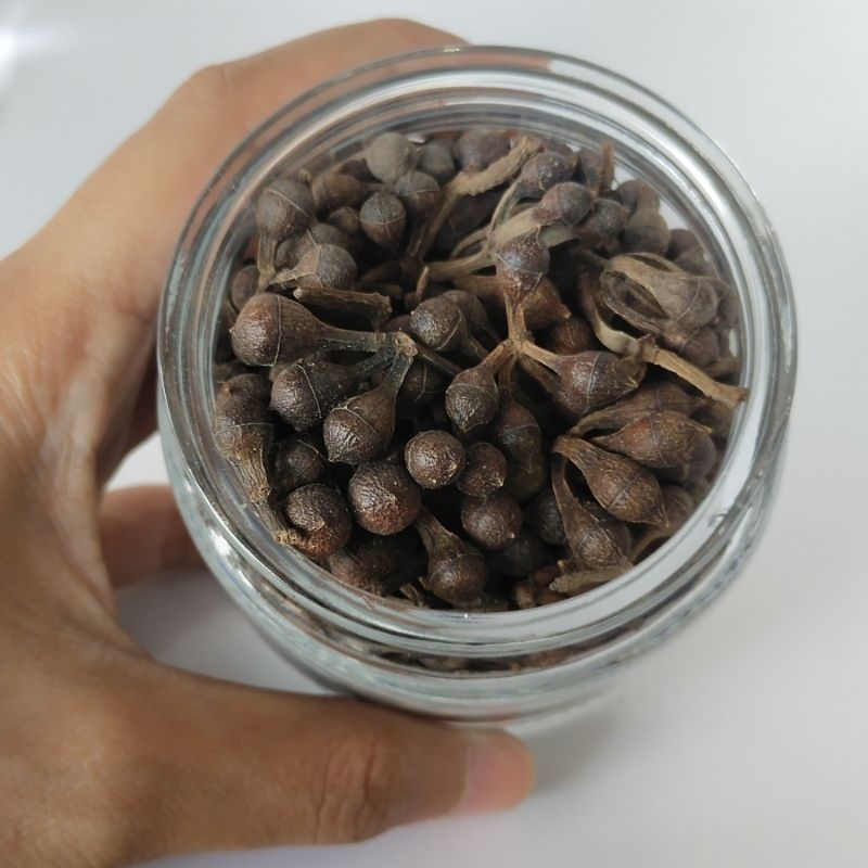 

BIJI CEPLIKAN/CEPLIK SARI REMPAH 1000gr