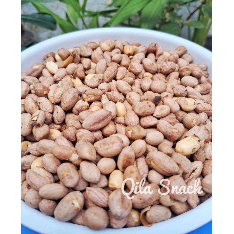 

Piscoklegit_ Kacang Bogares 250 Gram Kacang Sangrai