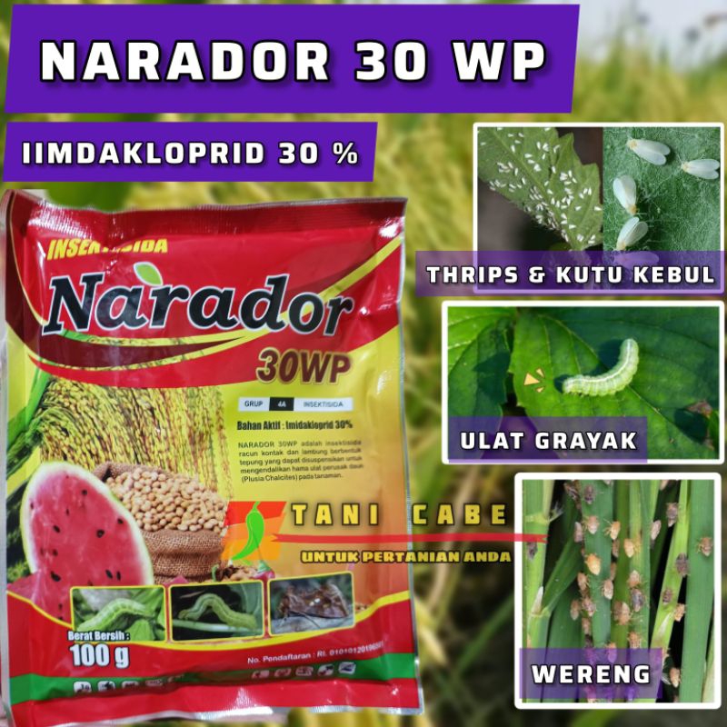 NARADOR imidacloprid 30 wp-100grm