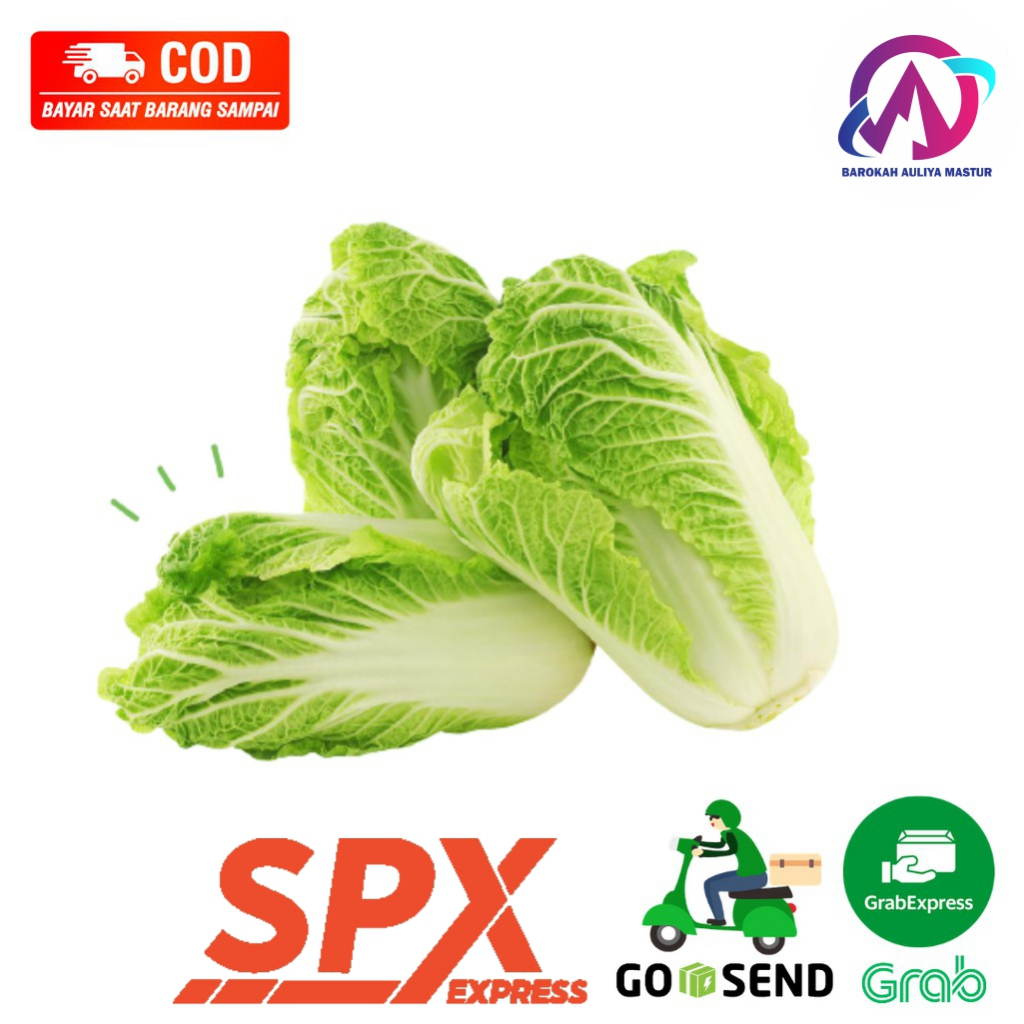 

Sawi Putih Chinese Cabbage Sayuran Kimchi Sayuran Daun Kirim Instan BAM Pasar Online Murah PAdang