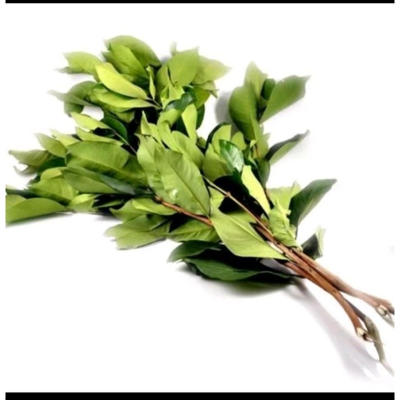 

daun salam 50gr