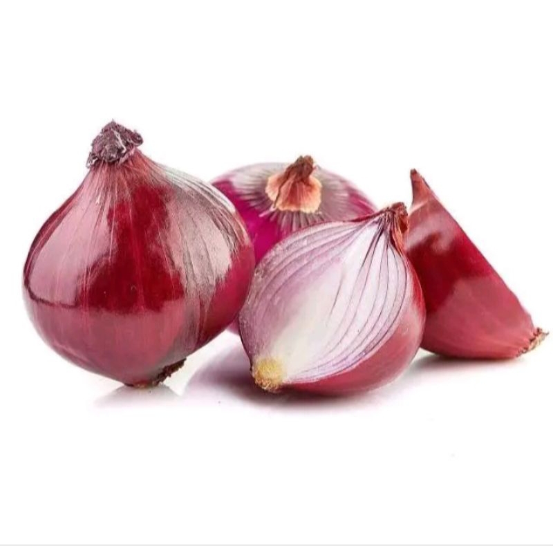 

Brnih bawang merah kemasan repack isi 25 benih cocok untuk dataran rendah sampai tinggi di pekarangan rumah