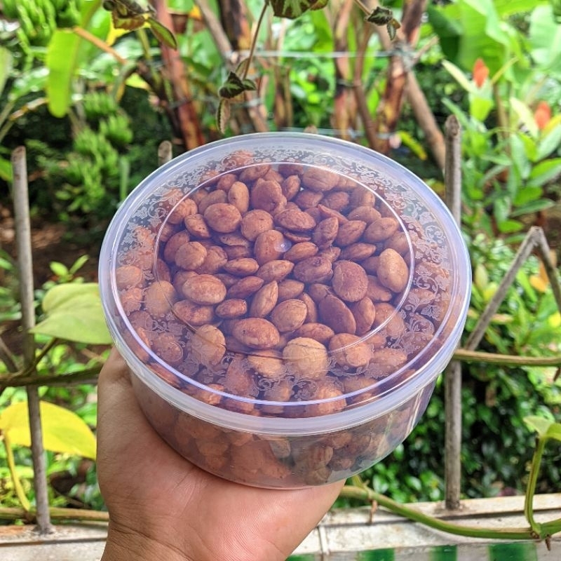 

Kacang Sacha Inchi matang 1 toples
