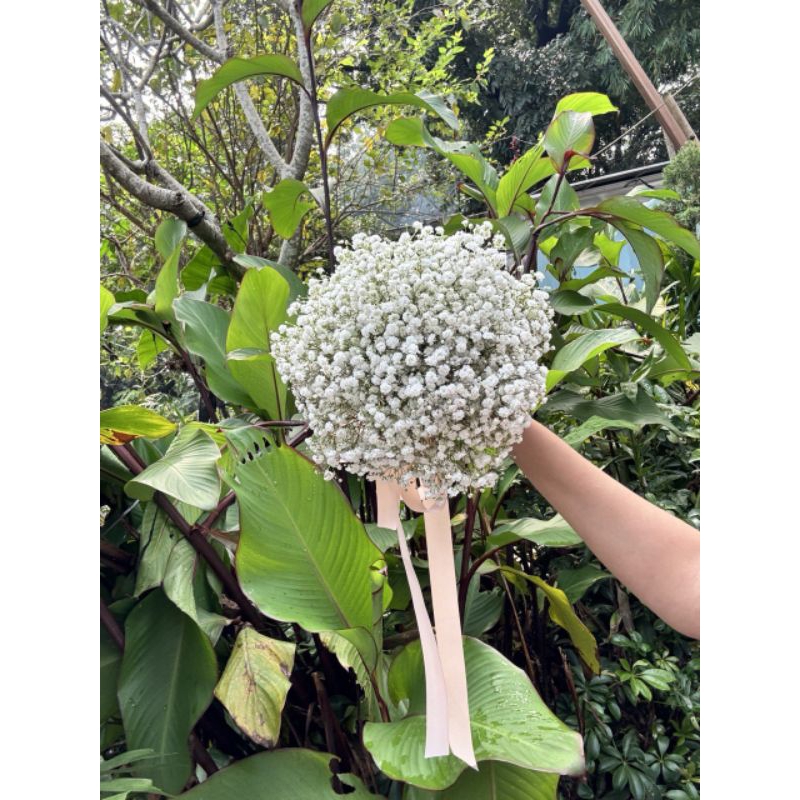 buket bunga baby breath / babys breath boquet / wedding bouquet baby breath /buket bunga wedding