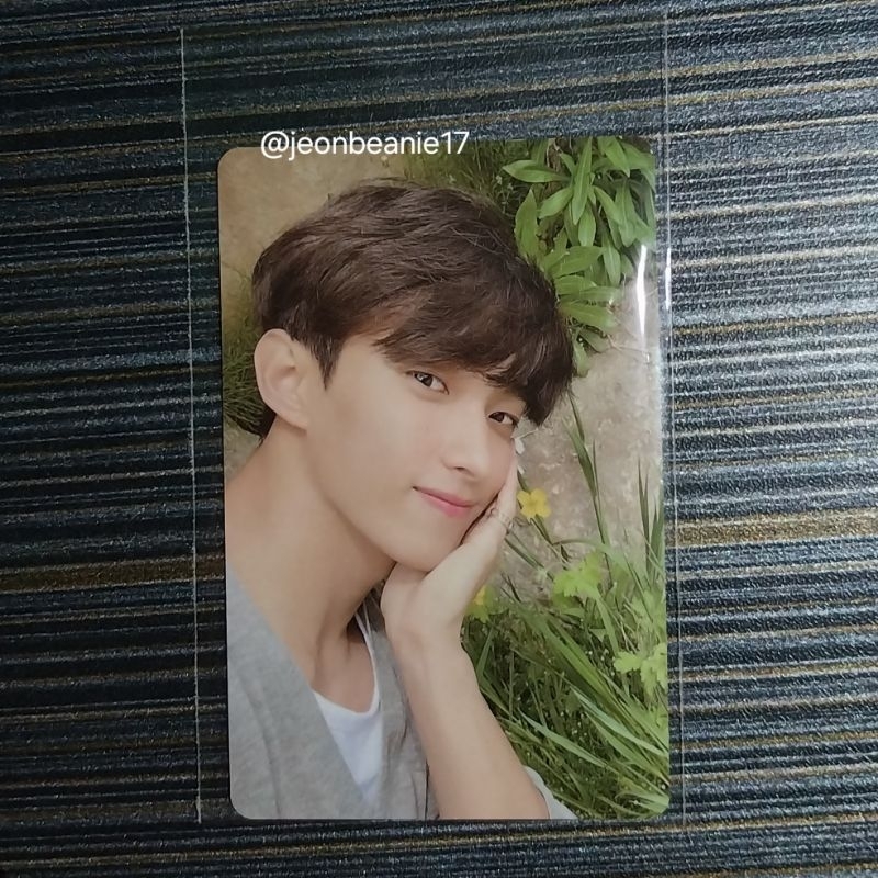 SEVENTEEN DK IN THE SOOP PC vol 1
