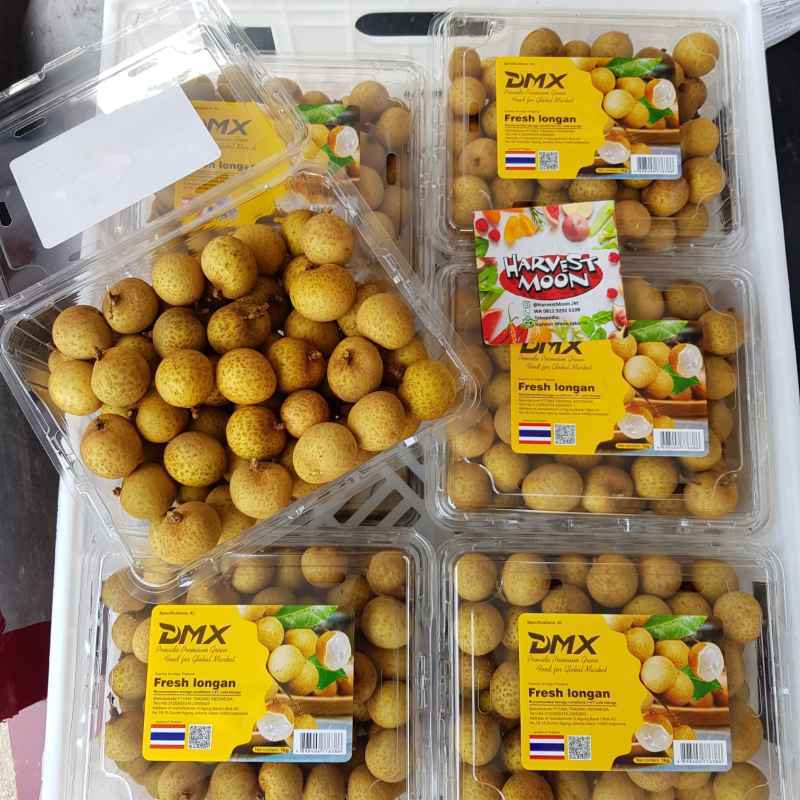 

Kelengkeng Emas Pack (2.5kg) manis buah tebal, Ready stock Jogja