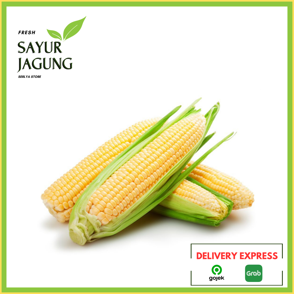 

JAGUNG MANIS SAYURAN SEGAR MURAH JAGUNG KUPAS JAGUNG UTUH SAYUR FRESH