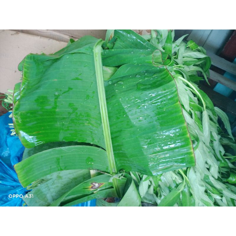 

Kangkung segar 1 tingkes