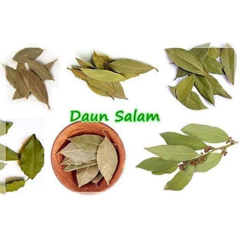 

daun salam 500g