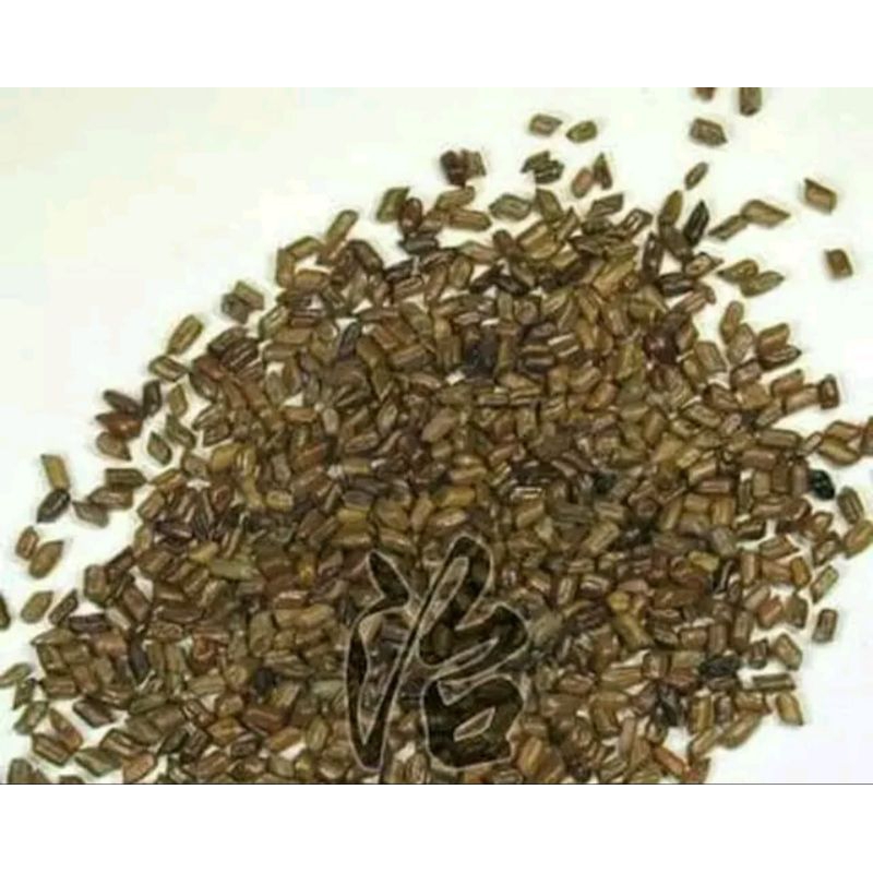 

10 G 50 GR 100 GRAM 草决明子 CAO JUE MING ZI FOETID CASSIA SEED SEEDS SEMEN CASSIAE